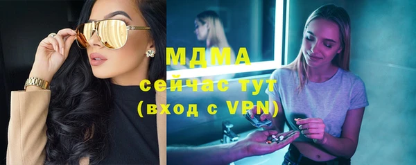 дживик Няндома