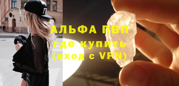 индика Осташков