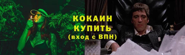 дживик Няндома
