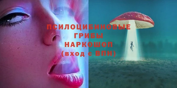 mix Осинники
