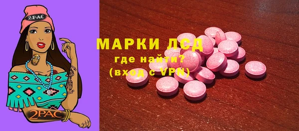 индика Осташков