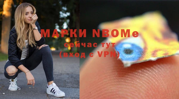дживик Няндома