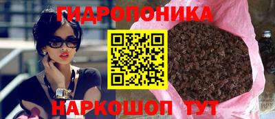 шишки Обнинск