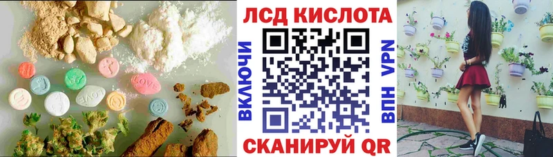 где купить наркотик  Острогожск  Лсд 25 экстази ecstasy 